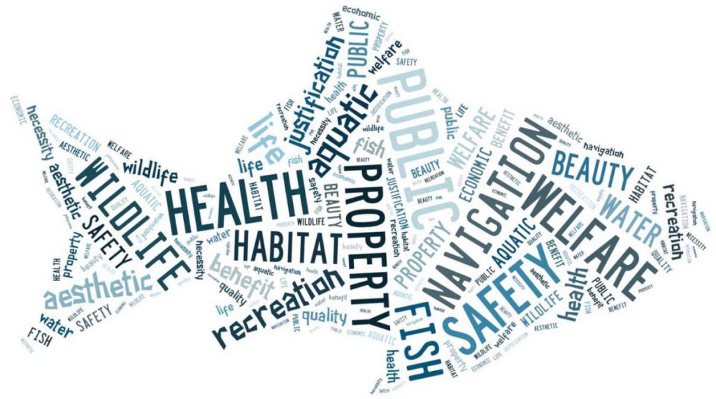Word art in the shape of a fish that shows all considerations when regulating public trust lands. Prominent words displayed are health, habitat, public, property, navigation, welfare, and safety.