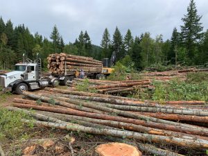 A loaded logging truck