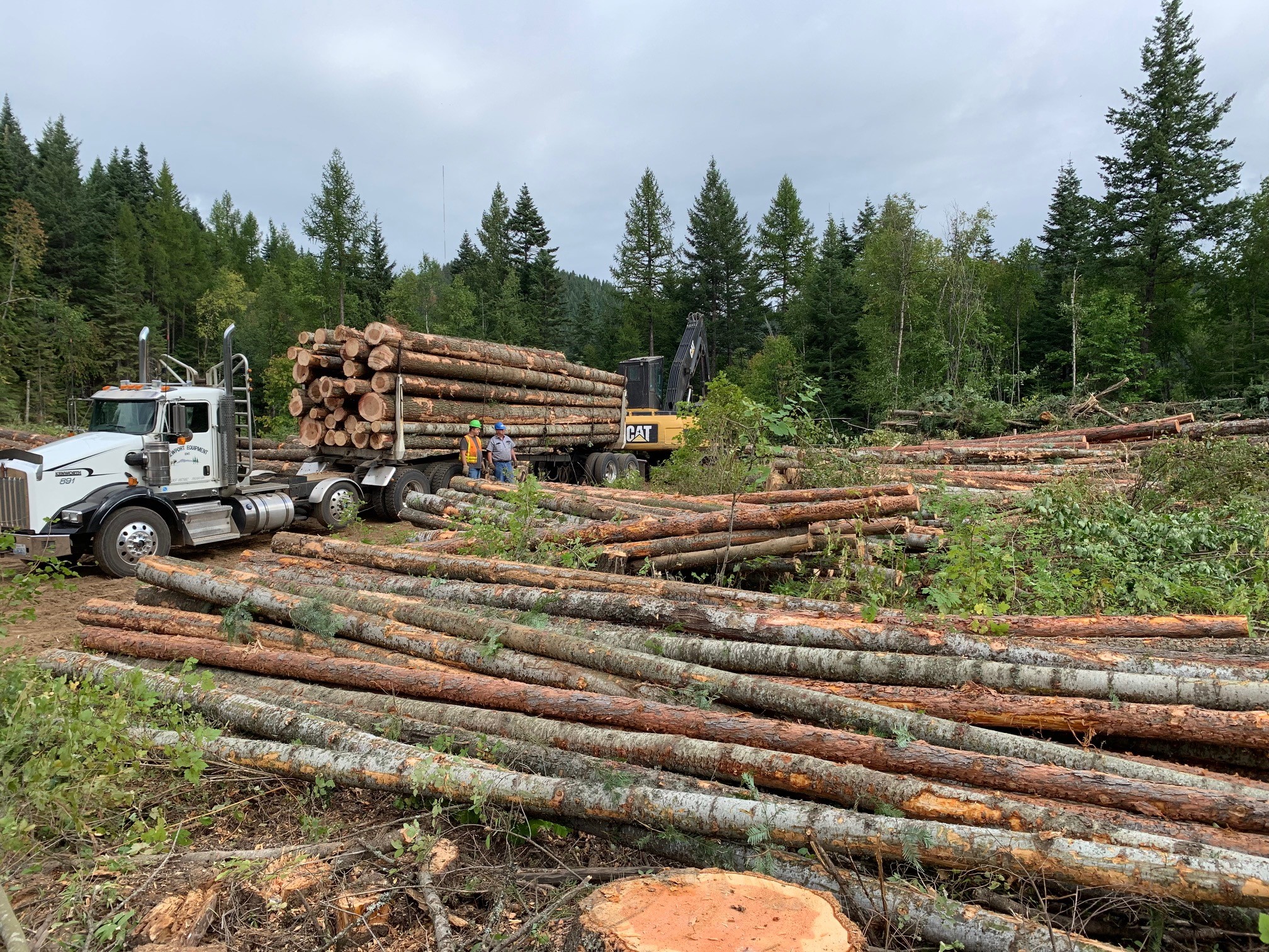 A loaded logging truck