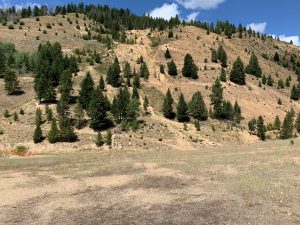 Mining hillside with trees