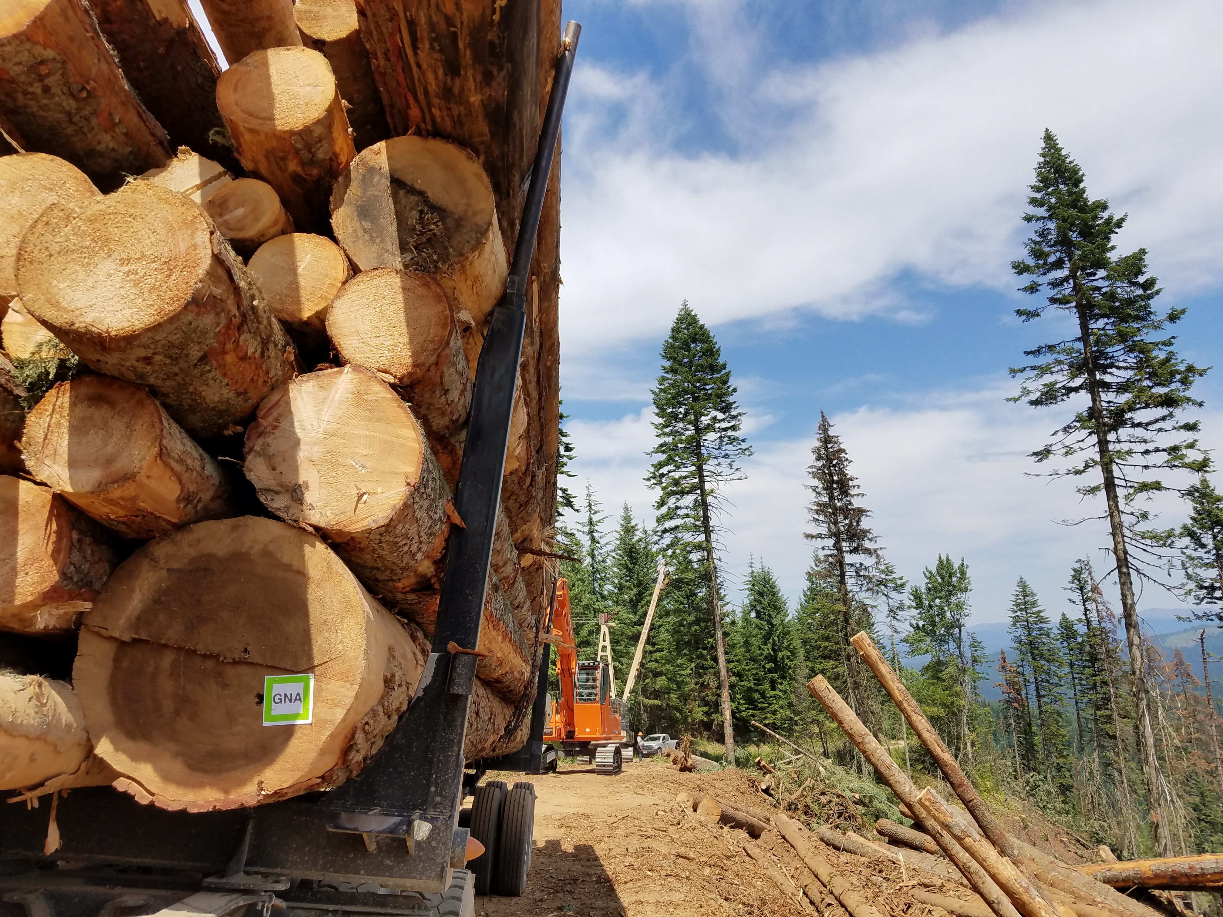 Logs on a truck