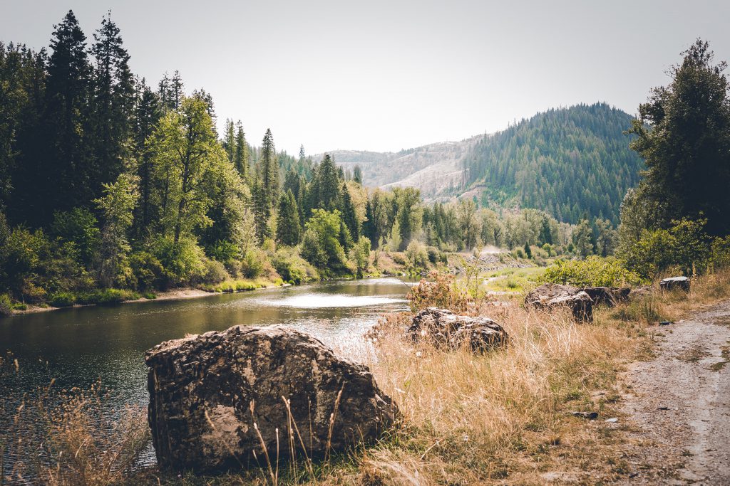 rocks along the riverbed