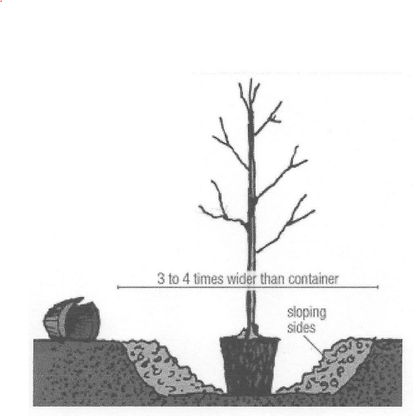 Planting diagram