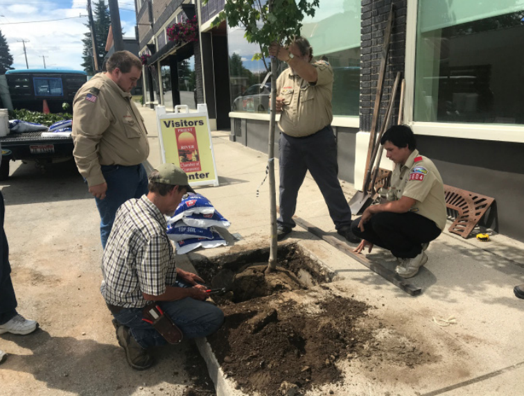boy scout volunteers planting a tree