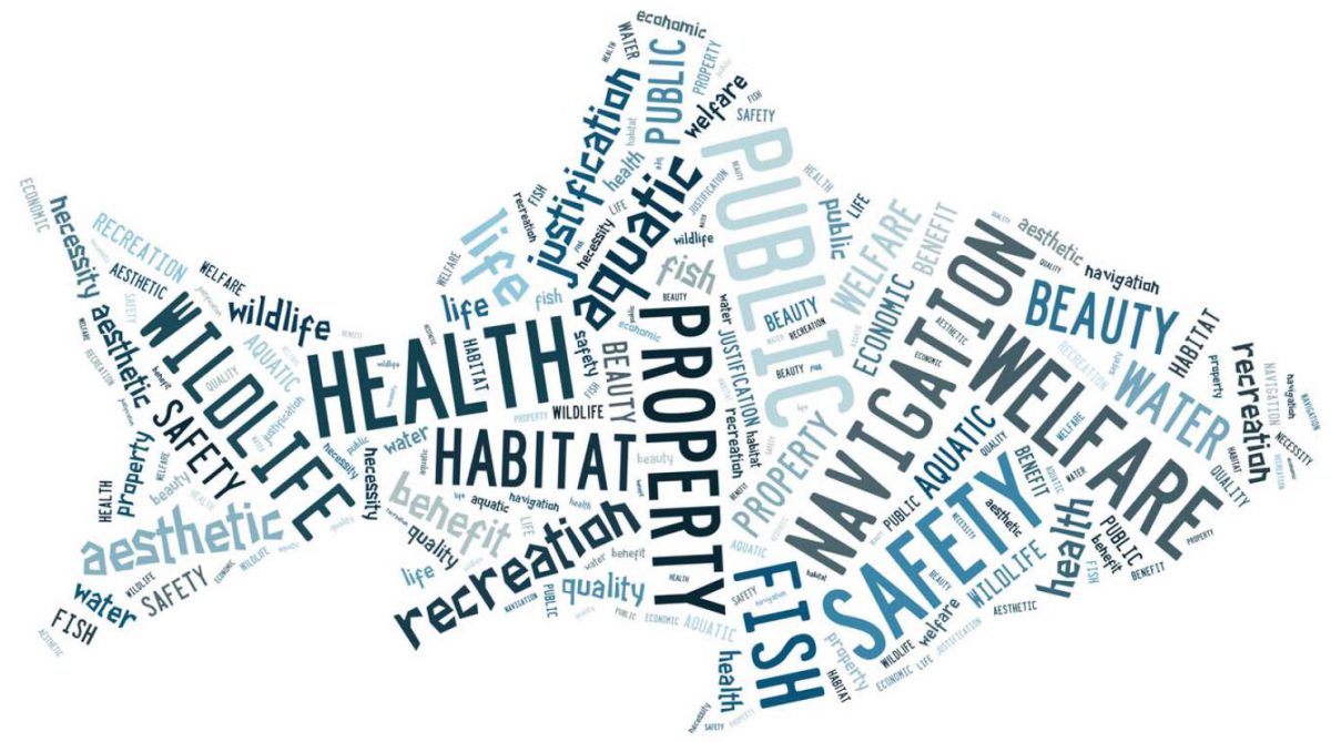fish text cloud image