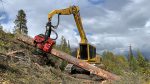 Logging equipment