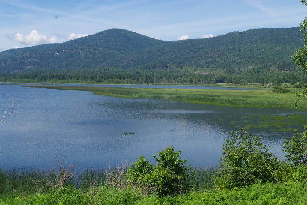 Photo of McArthur Lake