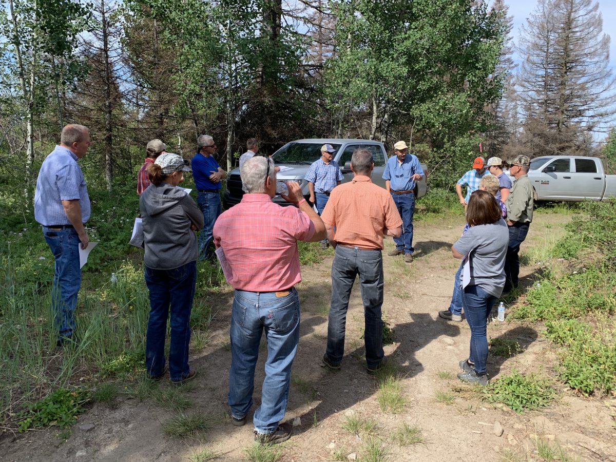 Jobs Department of Lands