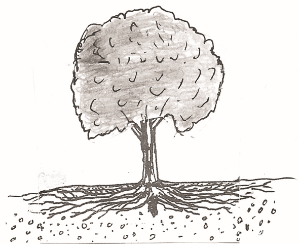 Roots Clipart Leaf - Easy Simple Dead Tree Drawing, HD Png Download ,  Transparent Png Image - PNGitem