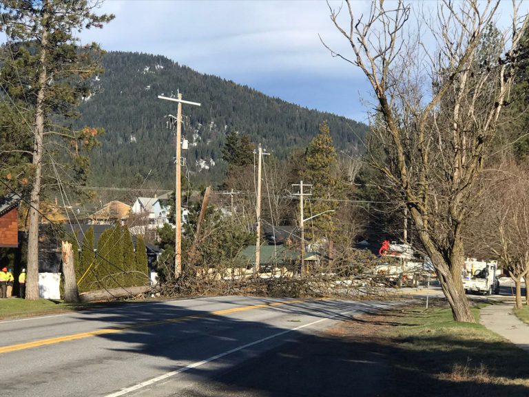 Windstorm damage picture from Rathdrum