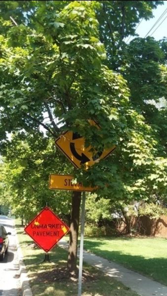 Traffic sign covered up by tree branches