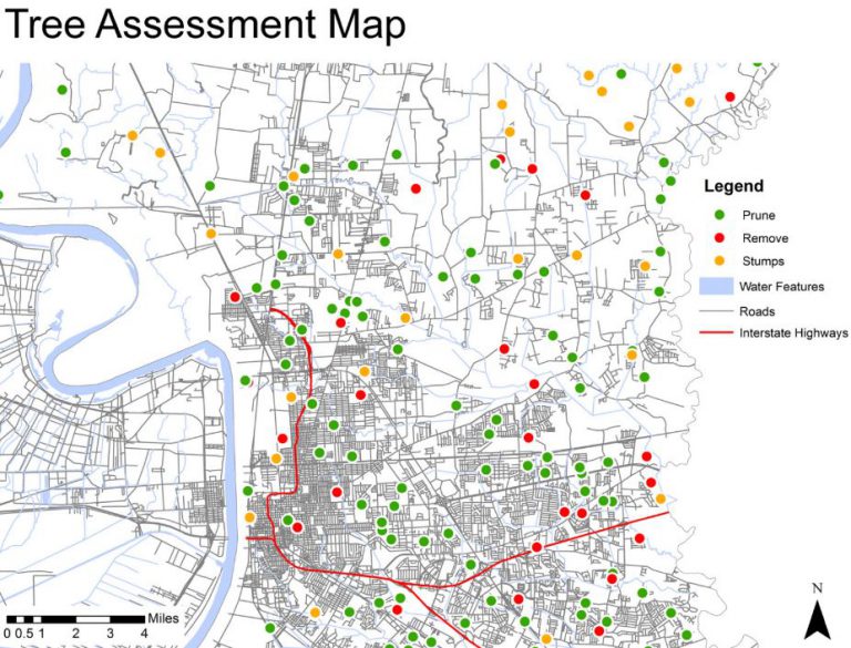 tree assessment map