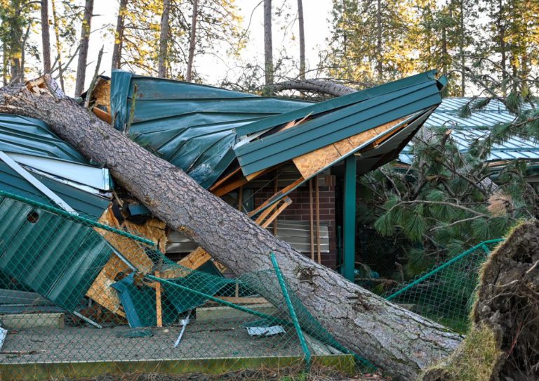 Wind storm damage