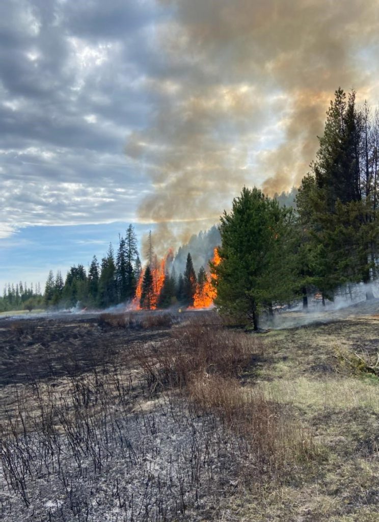 Burning timber