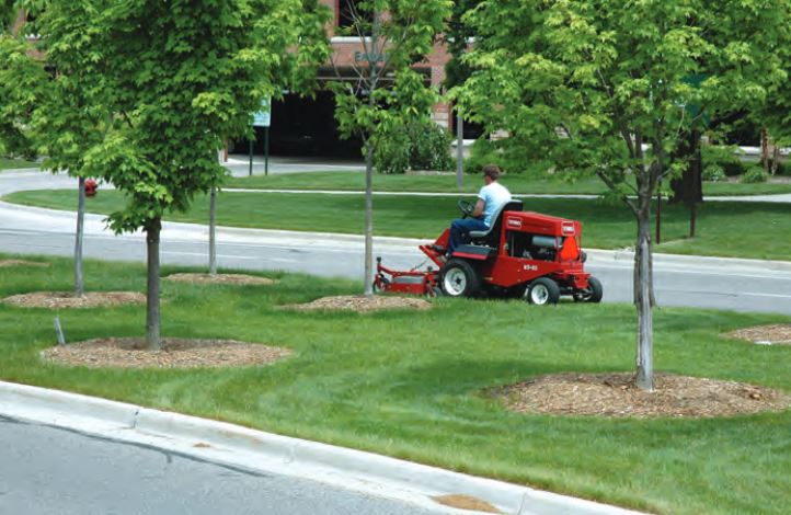 photo of man mowing a median in the road with trees and mulch rings