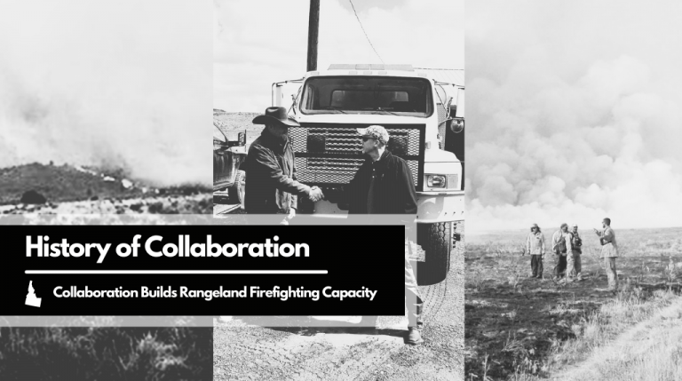 History of Collaboration graphic