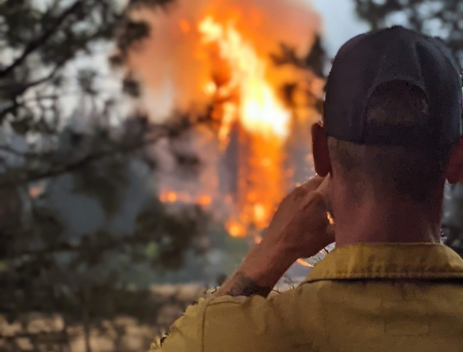 Firefighter looking at a forest fire