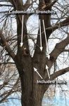 defective tree photo