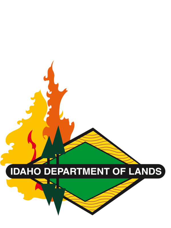 IDL fire logo