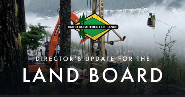 Directors update for the Land Board Banner