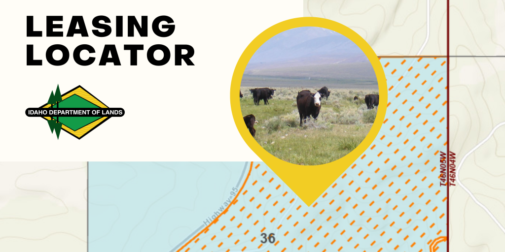 Web banner Leasing Locator Cows