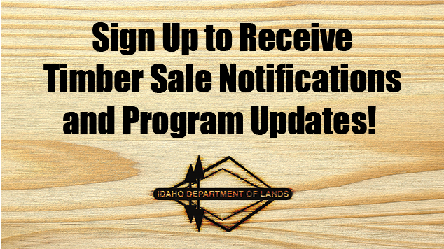Sign Up for Timber Sale Notifications