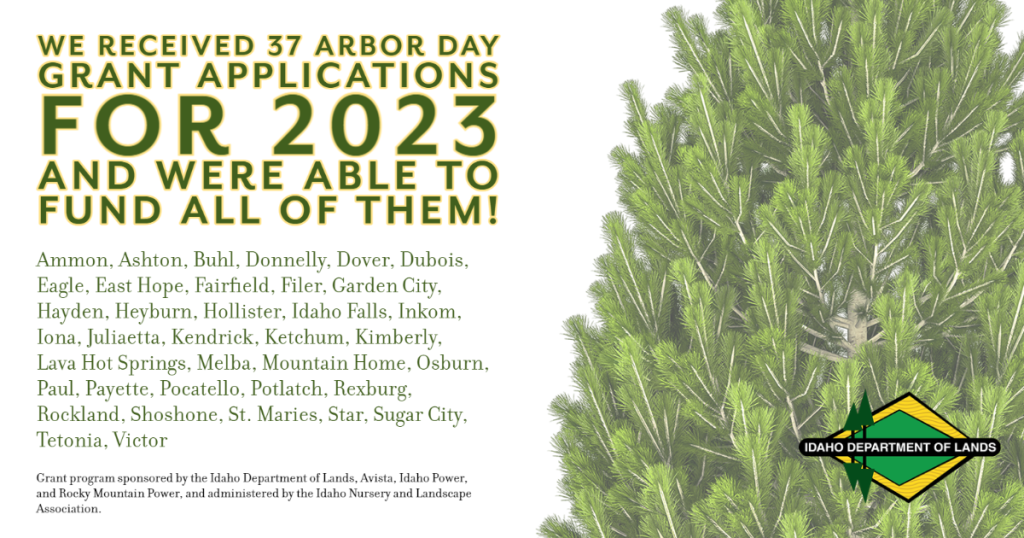 Arbor Day winners list