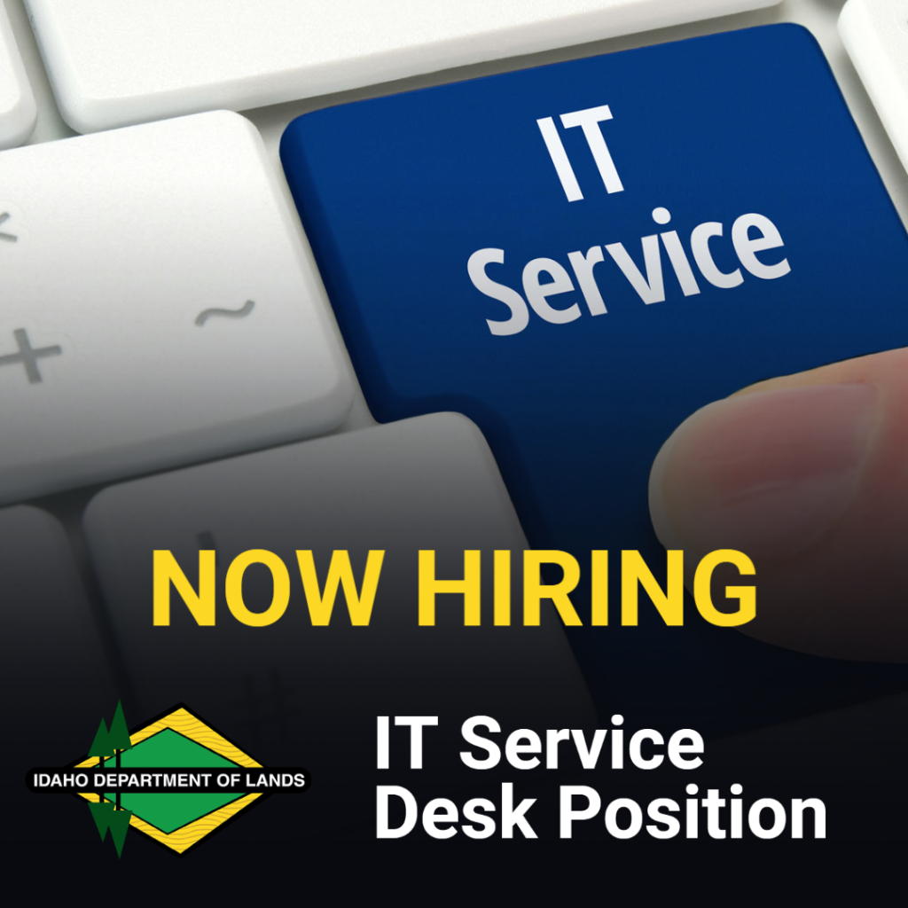 IT Service Desk Position-1