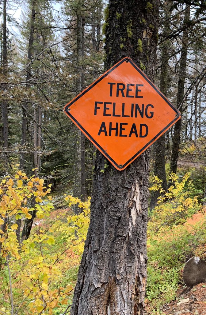 Tree felling sign