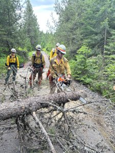 IDL Teakean Hand Crew to the Rescue - IDL Crew Removes Trees Blocking Latah Trail