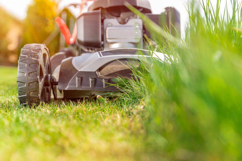 Lawn mower on lawn and long green grass