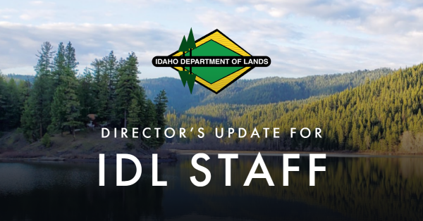 Director's Update for IDL Staff