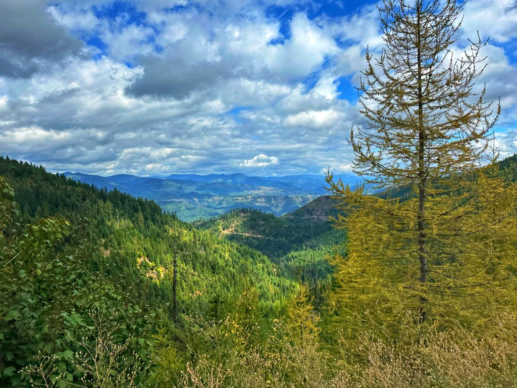 Saint Joe Basin Forest Legacy Project