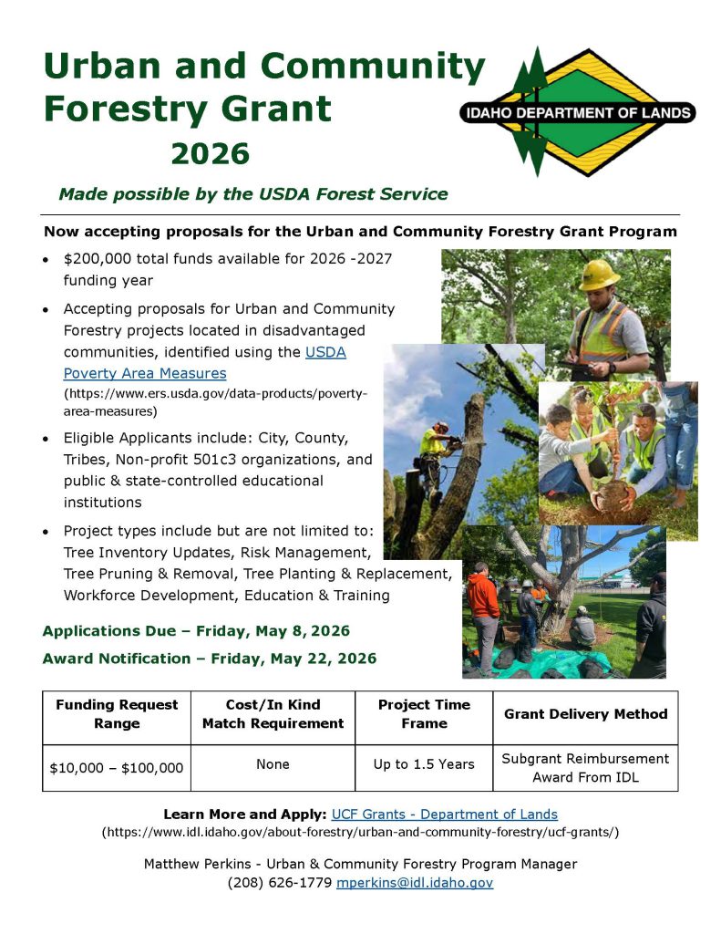 2026 UCF Grant Flyer